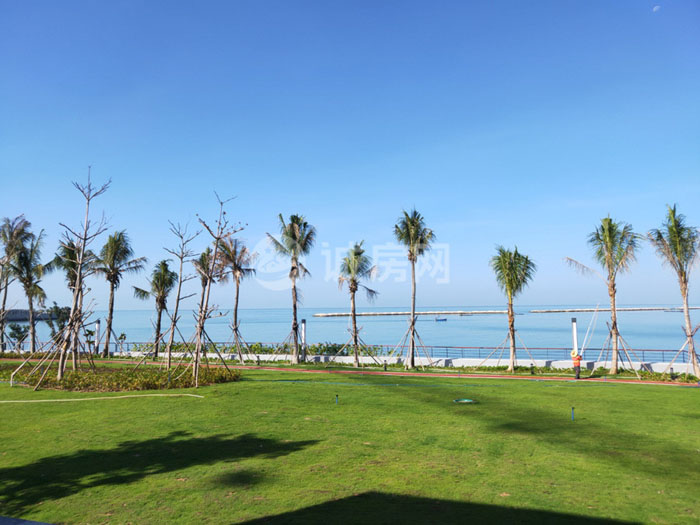 龙栖湾新半岛项目公寓别墅在售滨海旅居度假之选